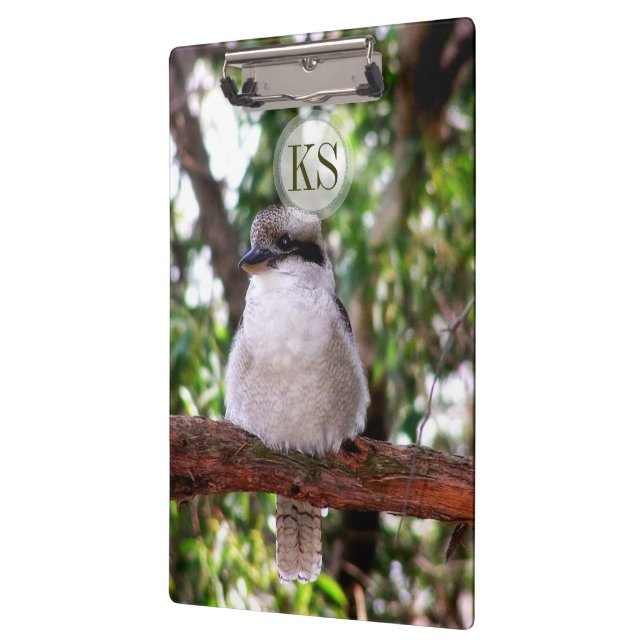 Portapapeles de fotografía de Kookaburra Bird Aust (Izquierda)