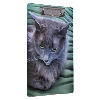 Portapapeles de Gato Verde Gris