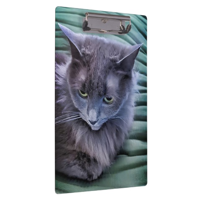 Portapapeles de Gato Verde Gris (Derecha)