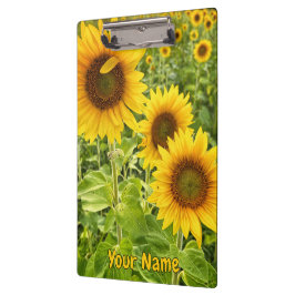 Portapapeles de "girasol"