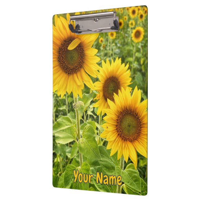 Portapapeles de "girasol" (Izquierda)