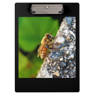 Portapapeles de Honey Bee