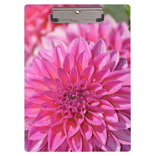 Portapapeles de impresión de flores de dahlia rosa (Anverso)