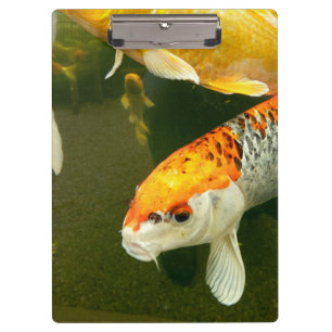 Portapapeles de Koi Carp