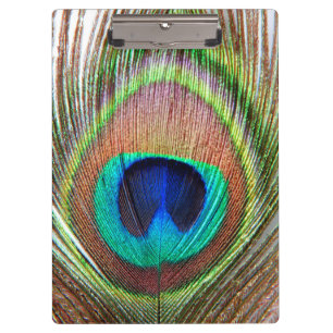 Portapapeles de la pluma de pavo real