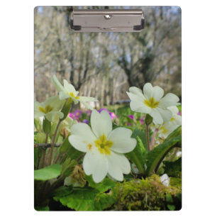 Portapapeles de la rosa primora