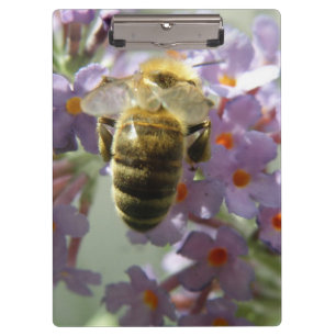 Portapapeles de las flores de abeja y buda
