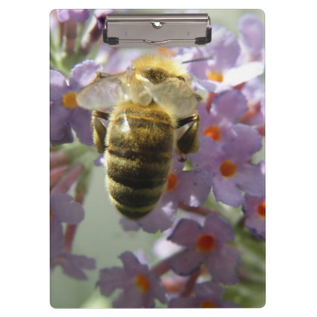 Portapapeles de las flores de abeja y buda (Anverso)