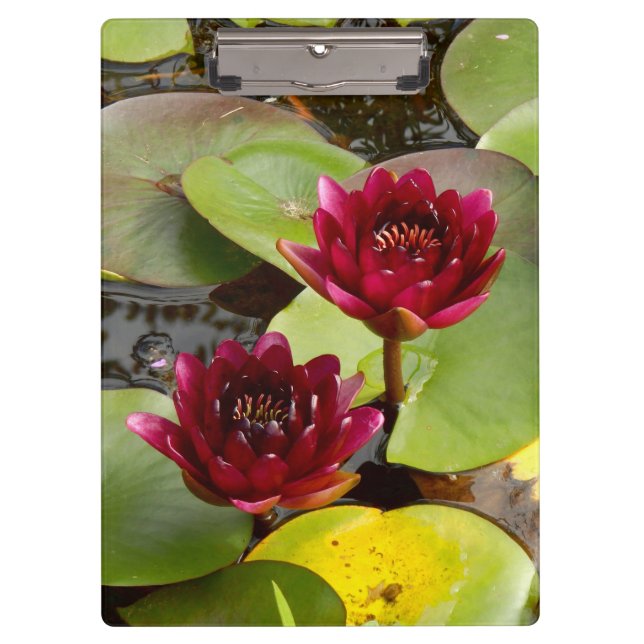 Portapapeles de Lily Agua (Anverso)