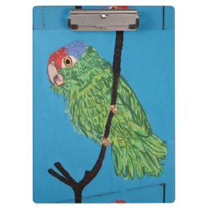 portapapeles de loro verde