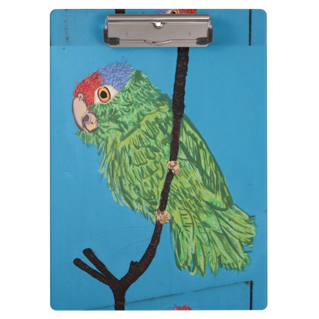 portapapeles de loro verde (Anverso)