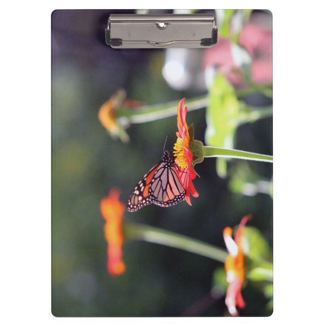 Portapapeles de mariposa (Anverso)