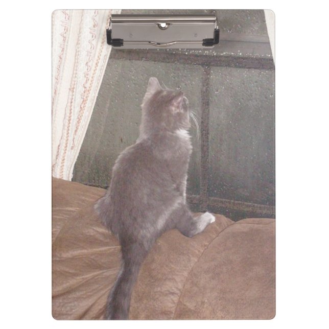 Portapapeles de Meow Cats 11 (Anverso)