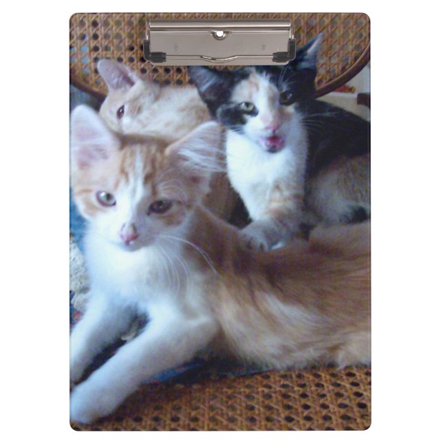 Portapapeles de Meow Cats 21 (Anverso)