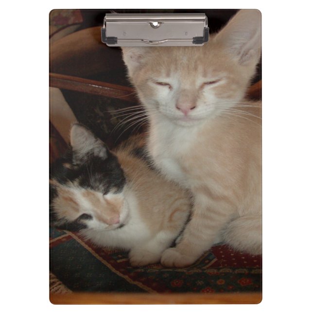 Portapapeles de Meow Cats 28 (Anverso)