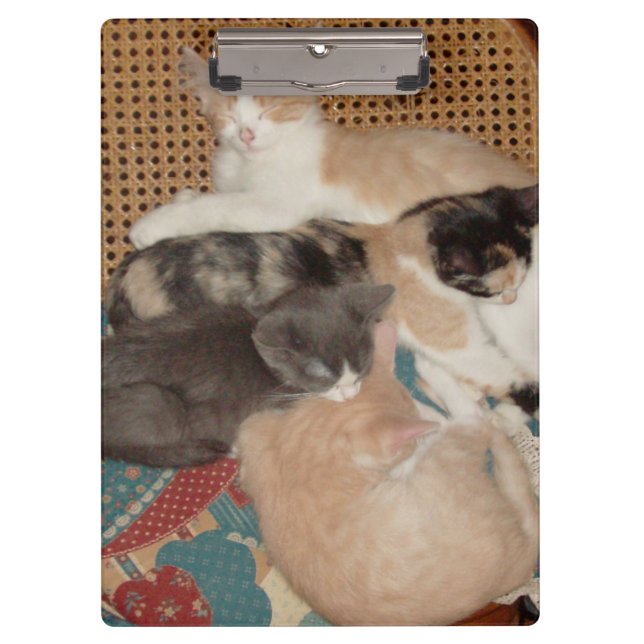 Portapapeles de Meow Cats 29 (Anverso)