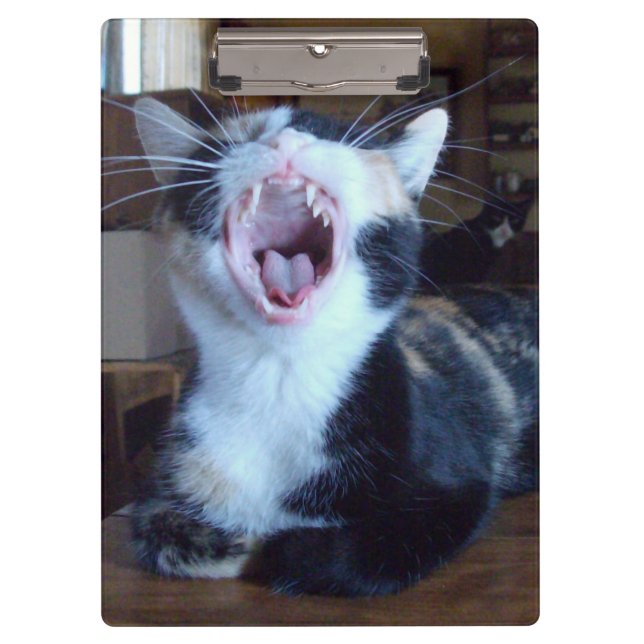 Portapapeles de Meow Cats 30 (Anverso)