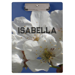Portapapeles de nombres personalizados