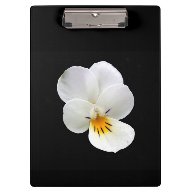 Portapapeles de Pansy salvaje (Anverso)