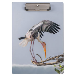 Portapapeles de papel tapiz de pájaro - Diseño ins