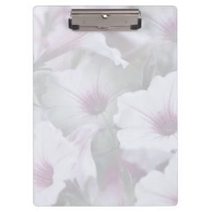 Portapapeles De Petunias Blandas En Blanco Y Rosa