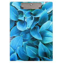 Portapapeles de planta de Hosta