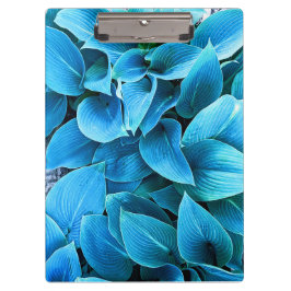 Portapapeles de planta de Hosta
