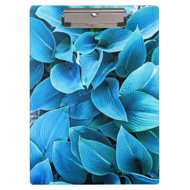Portapapeles de planta de Hosta (Anverso)