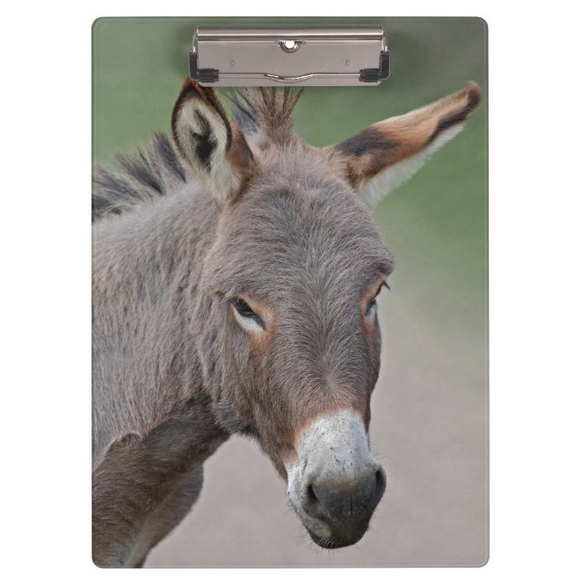 Portapapeles de retrato de burro (Anverso)