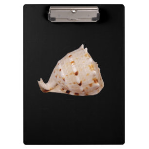 Portapapeles de shell de conexión