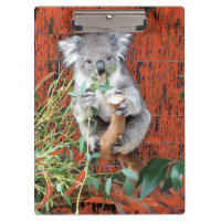 Portapapeles de tiempo de refrigerio de Koala