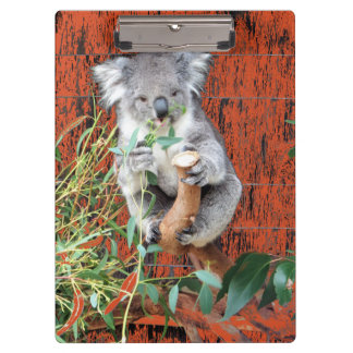 Portapapeles de tiempo de refrigerio de Koala