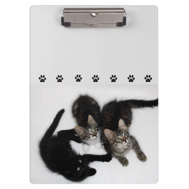 Portapapeles de tres gatitos recortados (Anverso)