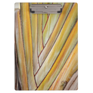 Portapapeles del árbol de viajes