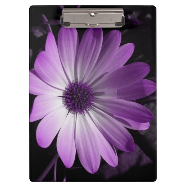 Portapapeles morado de flores de margarita (Anverso)