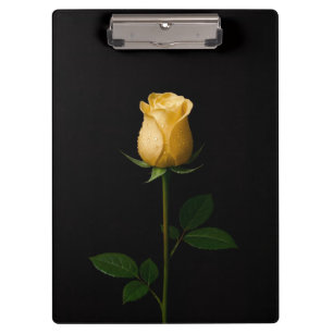 Portapapeles negro 4 Luxe con rosa amarilla ilumin