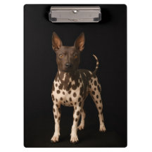 Portapapeles negro 4 Luxe, perro terrier sin pelo