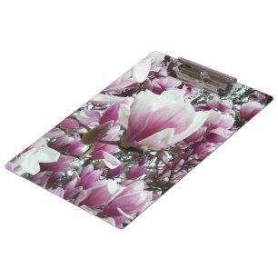Portapapeles - Saucer Magnolia