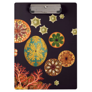 Portapapeles Sea Squirt Remix
