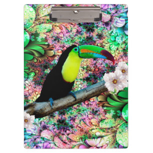 Portapapeles Toucan 4