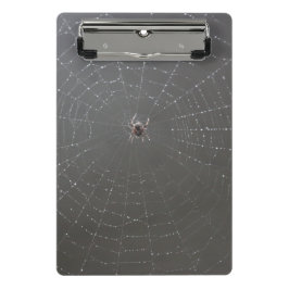 Portapapeles Web Spider