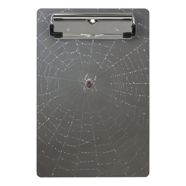 Portapapeles Web Spider (Anverso)