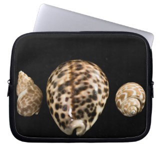 Portátil Cowrie Cones 2 Funda para Portátiles