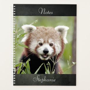Portátil Foto panda roja , animales 01. cuaderno