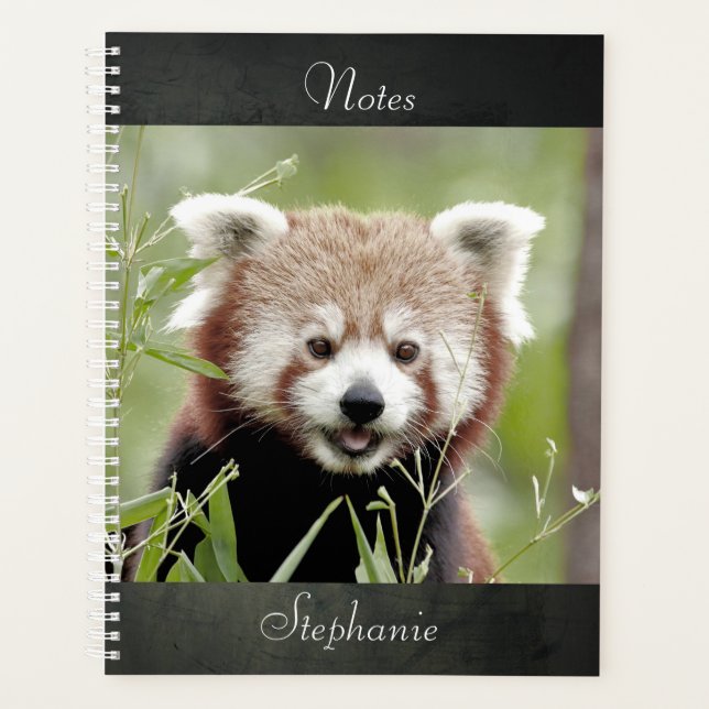 Portátil Foto panda roja , animales 01. cuaderno (Anverso)