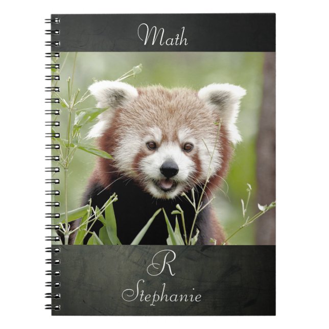 Portátil Foto panda roja , animales 0443. cuaderno (Frente)