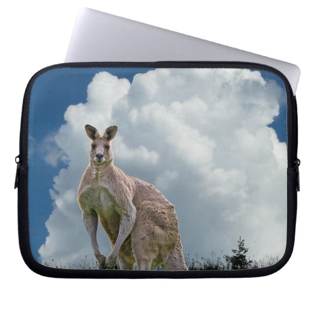 Portátil Funda Kangaroo para portátiles (Frente)