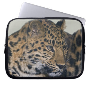 Portátil Funda para Laptop Kiska