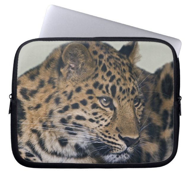 Portátil Funda para Laptop Kiska (Frente)