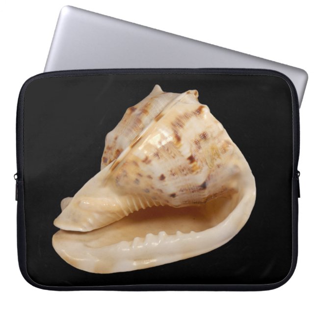 Portátil Funda para portátiles Conch Shell (Frente)